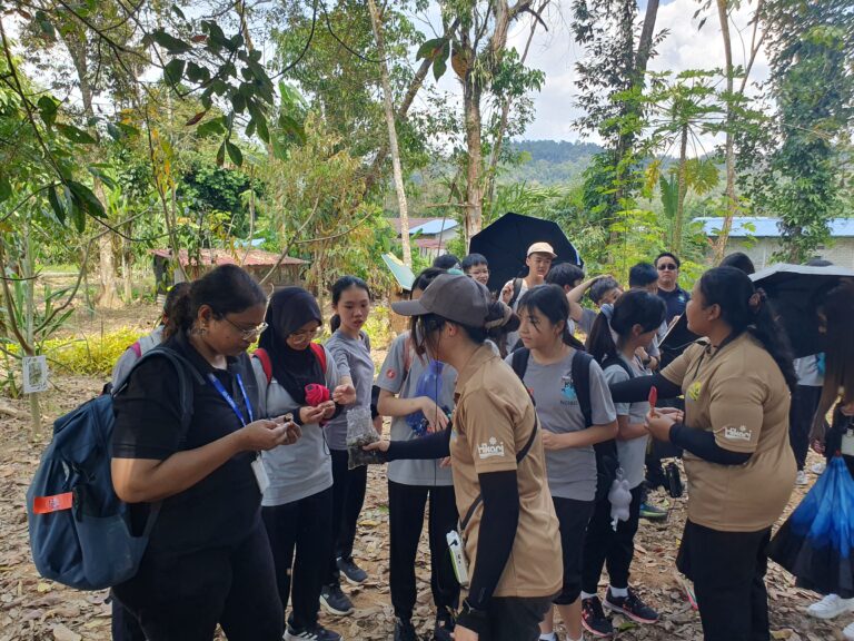 Tasting Wild Fruits