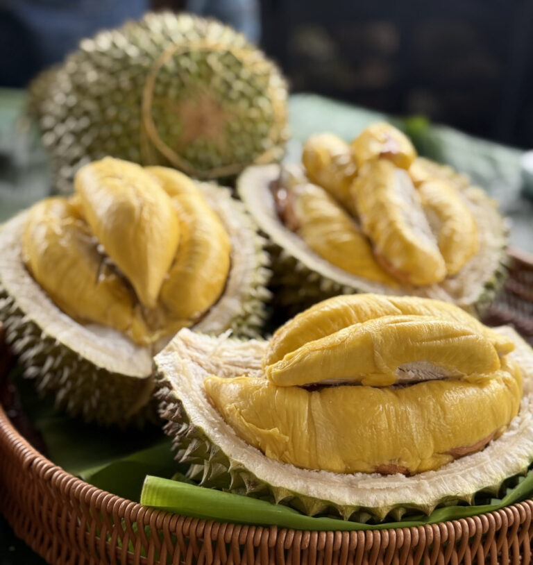 Durians & Discoveries at The Bentong Farm!🤩