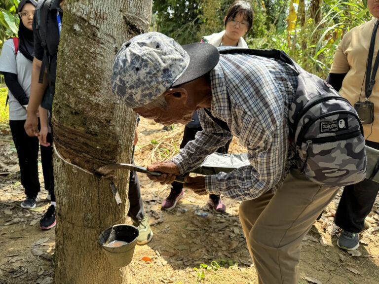 Rubber Tapping