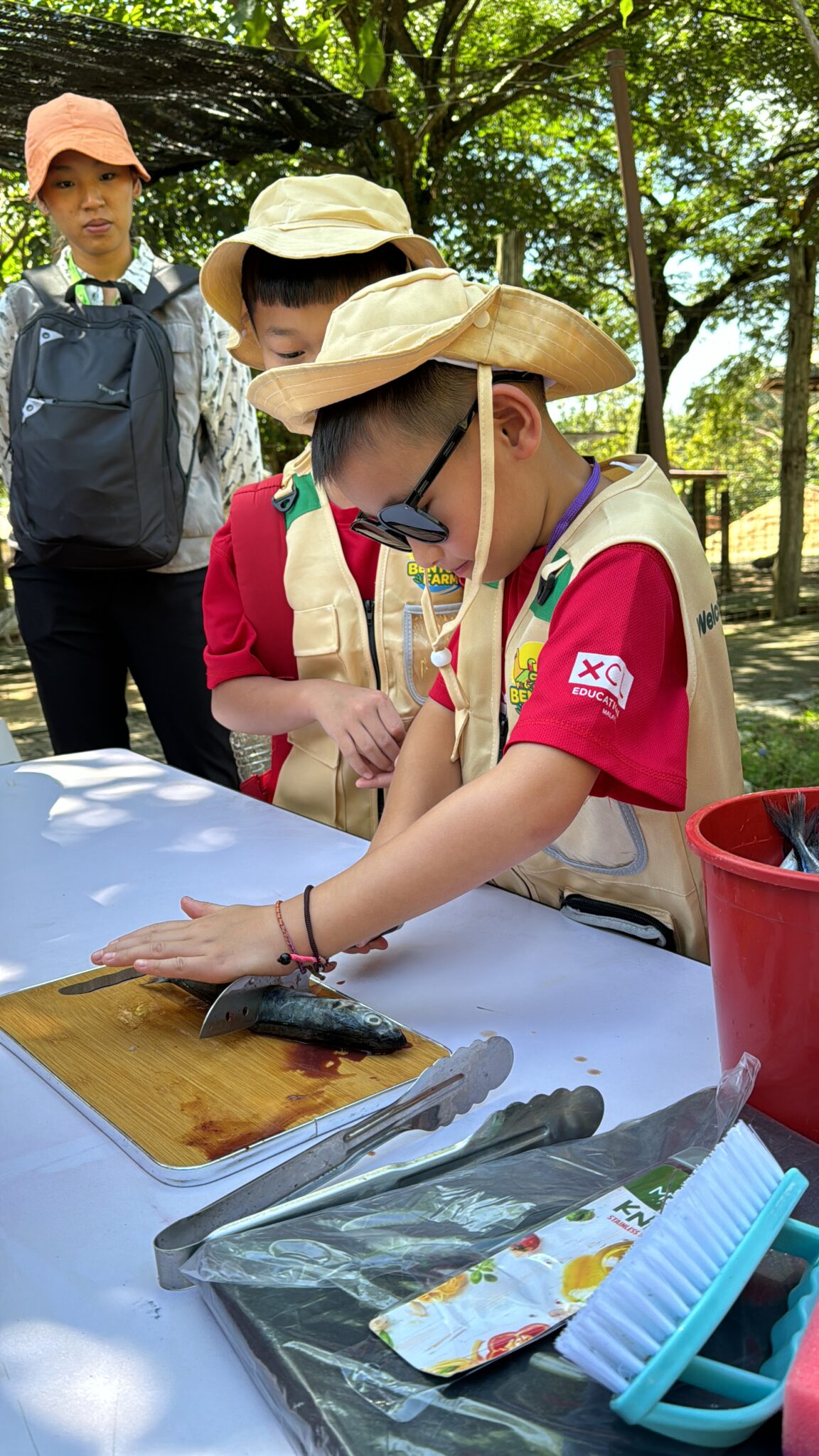 Junior Farm Ranger Experience – Where Young Explorers Dig Into Nature ...