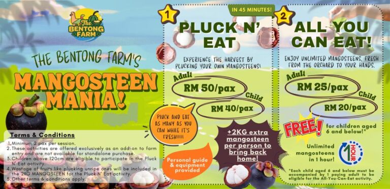 Mangosteen Mania – Pluck ’n’ Eat + All-You-Can-Eat Experience! [Starts 15 Dec 2025]