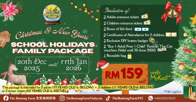 A Joyful Christmas Family Getaway [20th Dec 2025 – 11th Jan 2026]