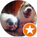 C C profile picture