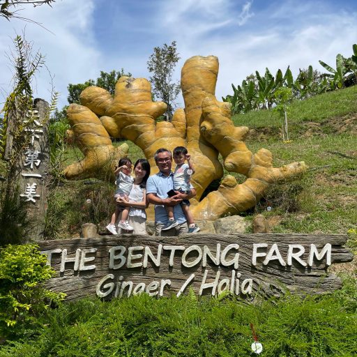 WhatsApp Image 2025-06-22 at 11.51.33_42ed31ea (1)