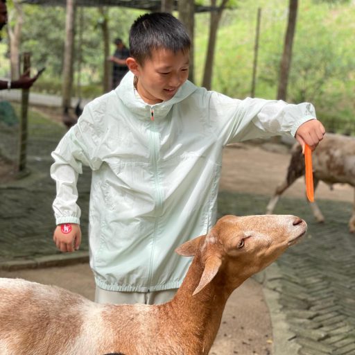 WhatsApp Image 2025-10-16 at 2.23.10 PM