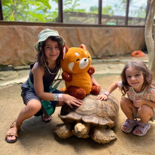 WhatsApp Image 2025-11-12 at 4.25.34 PM (1)