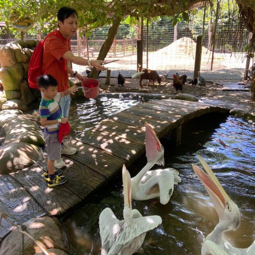 WhatsApp Image 2025-11-12 at 4.25.37 PM (1)