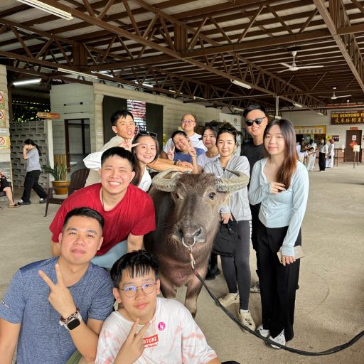 WhatsApp Image 2025-11-12 at 4.44.54 PM (2)