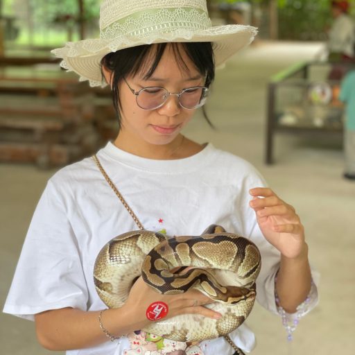 WhatsApp Image 2025-11-12 at 4.59.10 PM