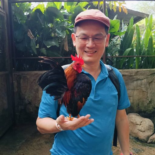 WhatsApp Image 2025-11-15 at 16.02.28_ac626dfc