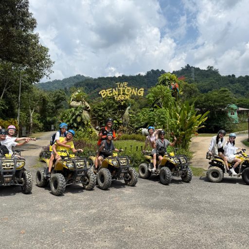 WhatsApp Image 2025-11-16 at 16.20.58_2a851497