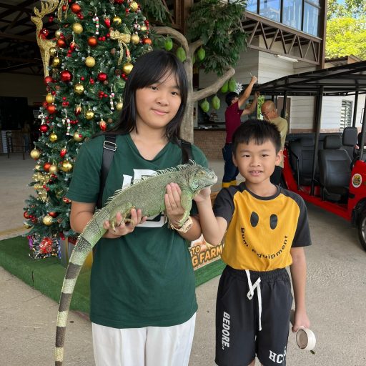 WhatsApp Image 2025-12-20 at 11.01.16 AM