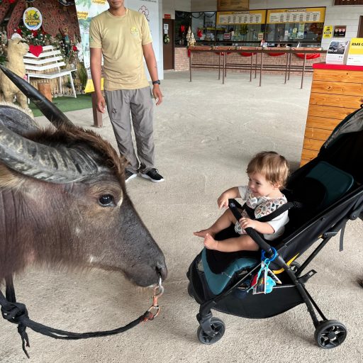 WhatsApp Image 2025-12-20 at 11.01.17 AM (9)