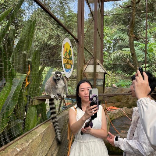 WhatsApp Image 2026-03-29 at 10.04.45 AM