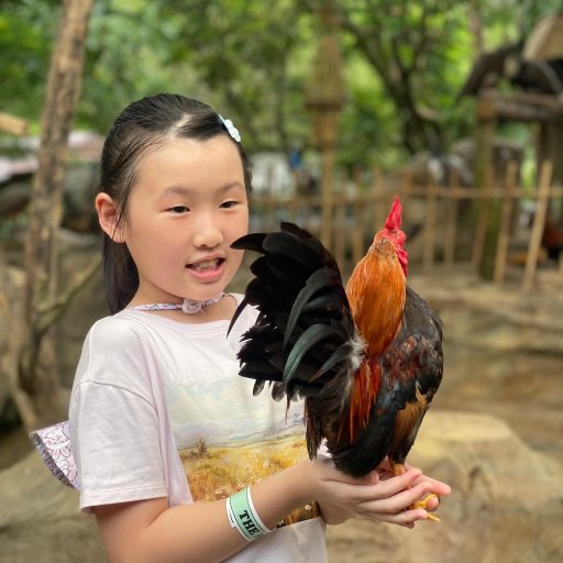 WhatsApp Image 2026-03-29 at 9.52.44 AM (13)