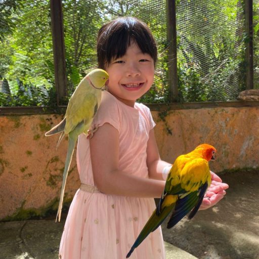 WhatsApp Image 2026-03-29 at 9.52.44 AM (17)