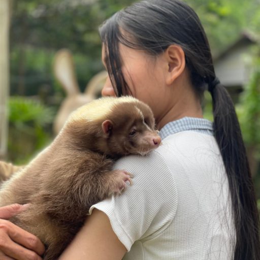 WhatsApp Image 2026-03-29 at 9.52.52 AM (1)