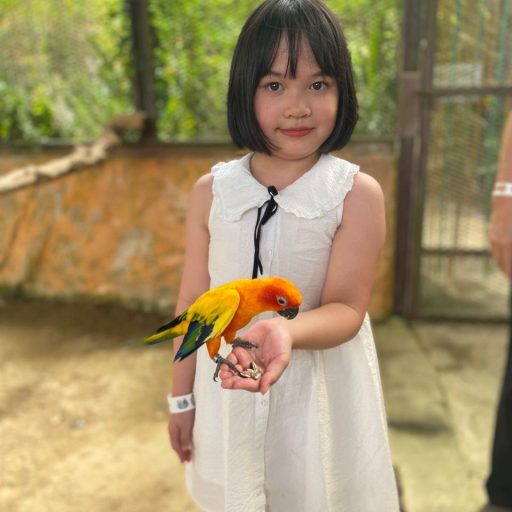 WhatsApp Image 2026-03-29 at 9.52.52 AM (13)