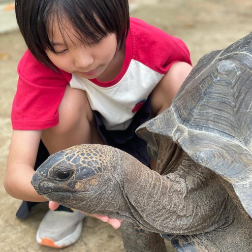 WhatsApp Image 2026-03-29 at 9.52.52 AM (2)