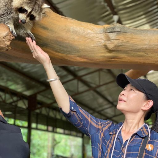 WhatsApp Image 2026-03-29 at 9.59.37 AM